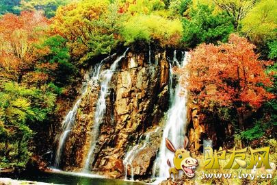 驴友网.jpg