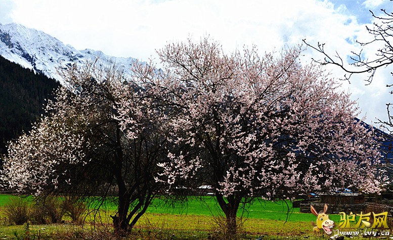 DSC_0904_副本.jpg